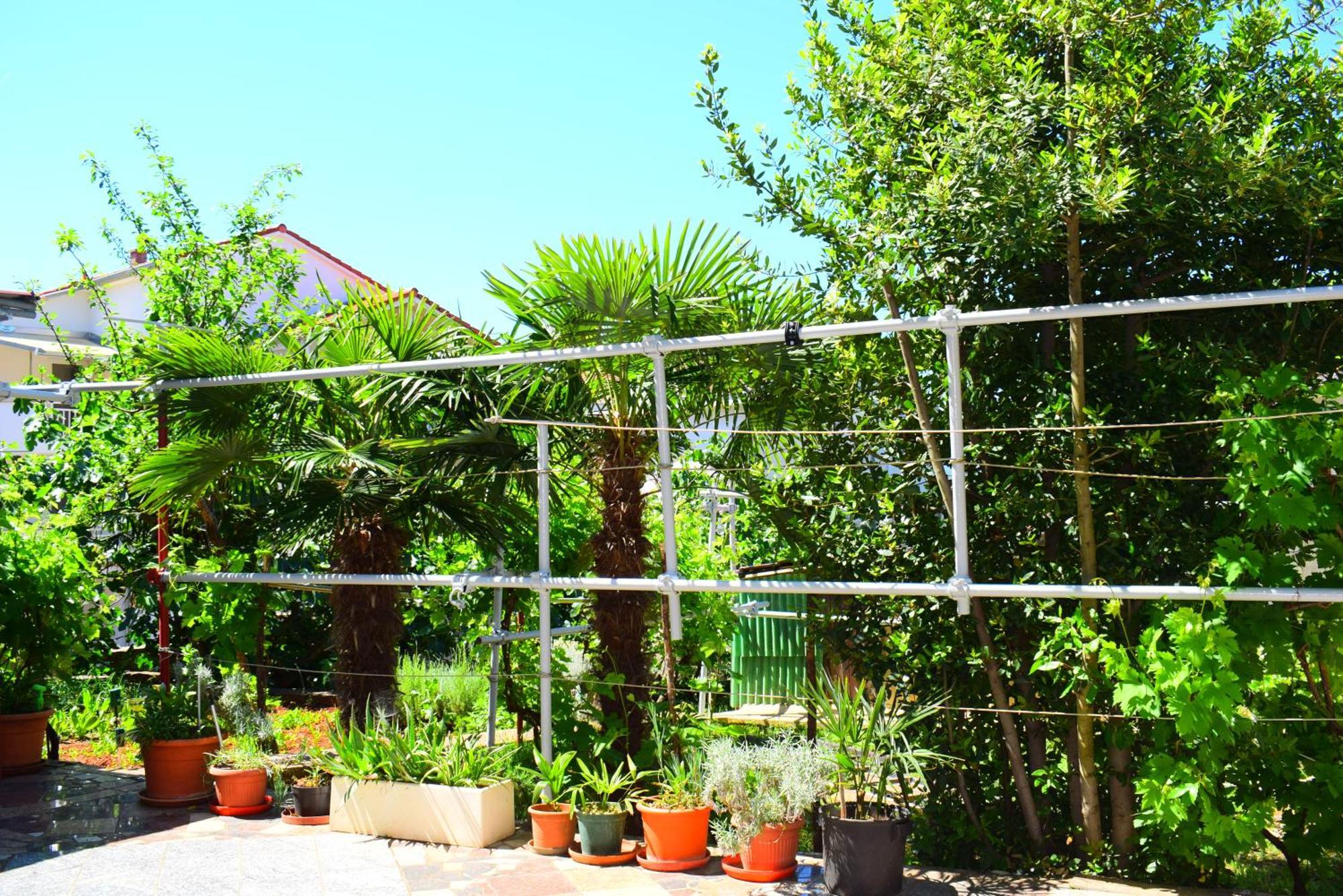 Apartments Milica مالينسكا الغرفة الصورة