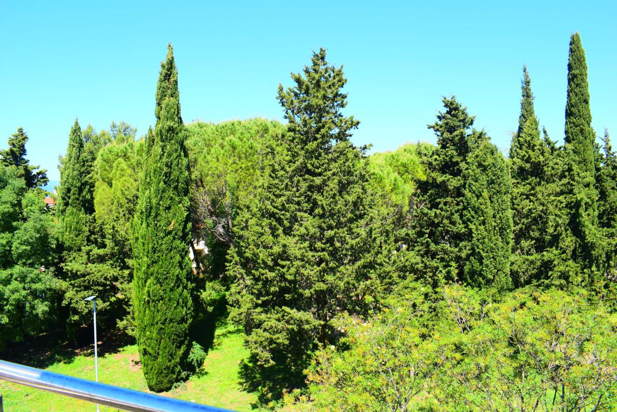 Apartments Milica مالينسكا المظهر الخارجي الصورة